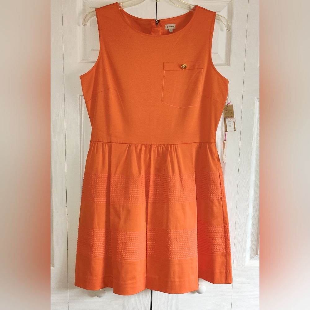 NWT Daniel Cremieux Penelope Fit & Flare Dress, Sz 12. MSRP $129.